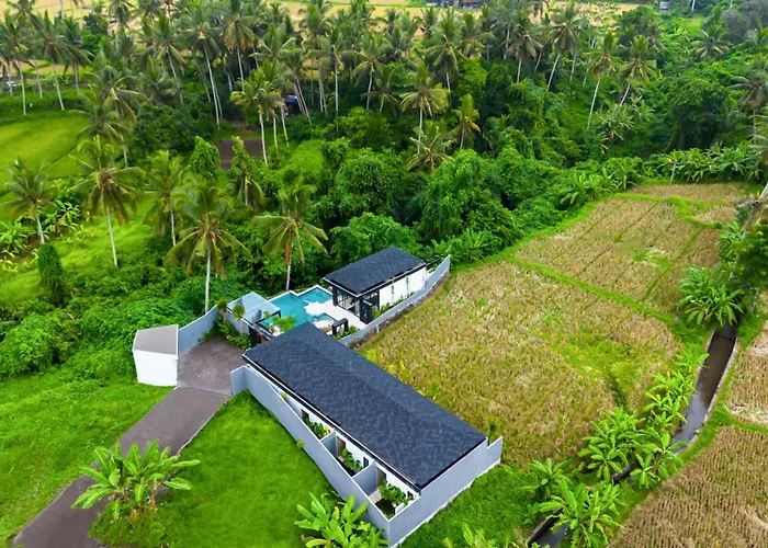 Infinity By Balisuperhost Ubud (Bali)